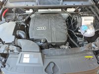 Audi Q5 - Vorschau Bild 22