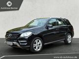 Mercedes-Benz ML 250 CDI BlueTec+Pano+Standh.+Kamera+Navi+ - mit Diesel-Antrieb: Schwarz, Vollleder, Standheizung