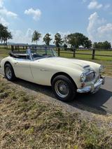 Austin Healey Andere - Austin Healey aus 1966