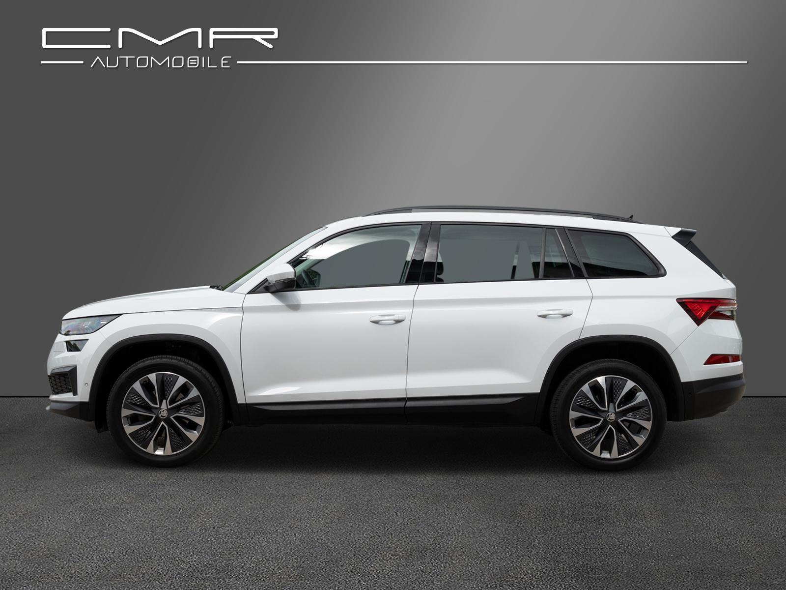 Skoda Kodiaq Ambition Tour AHK DAB+ SunSet Amundsen, миниатюра 5