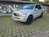 Mercedes-Benz ML 500 - V8 Prinz Gasanlage VSI Klima Automatik  - Mercedes-Benz ML 500 aus 2002