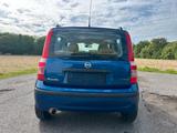 Fiat Panda 1.2 8V Dynamic Panoramadach - Fiat Panda Gebrauchtwagen in Krefeld