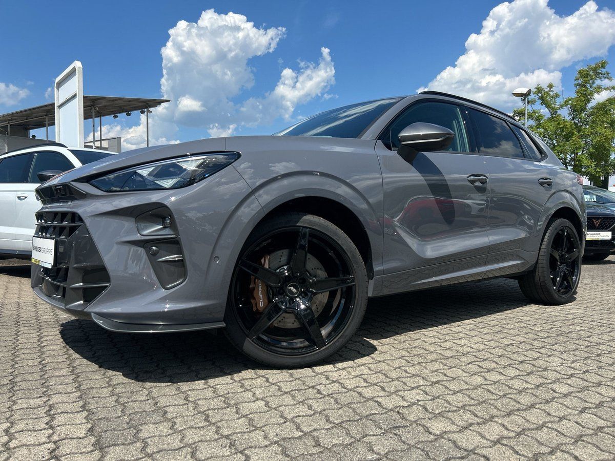 Cupra Terramar - Bild 24