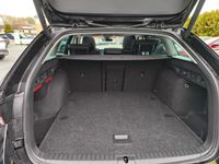 Skoda Octavia - Vorschau Bild 16