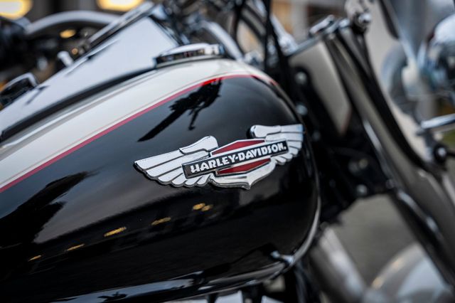 Fahrzeugabbildung Harley-Davidson FLSTN Softail Deluxe 96 CUI