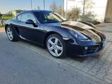 Porsche Cayman 2.7 Black Edition  - Porsche Cayman: 2.7