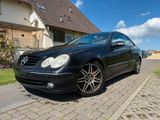 Mercedes-Benz CLK 320 AVANTGARDE Avantgarde - Mercedes-Benz CLK-Class in Bielefeld