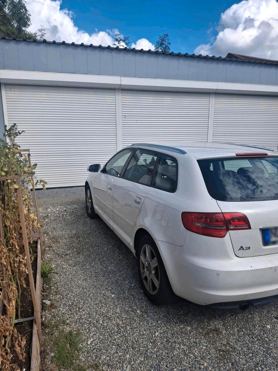 Audi A3 2010 — rear view