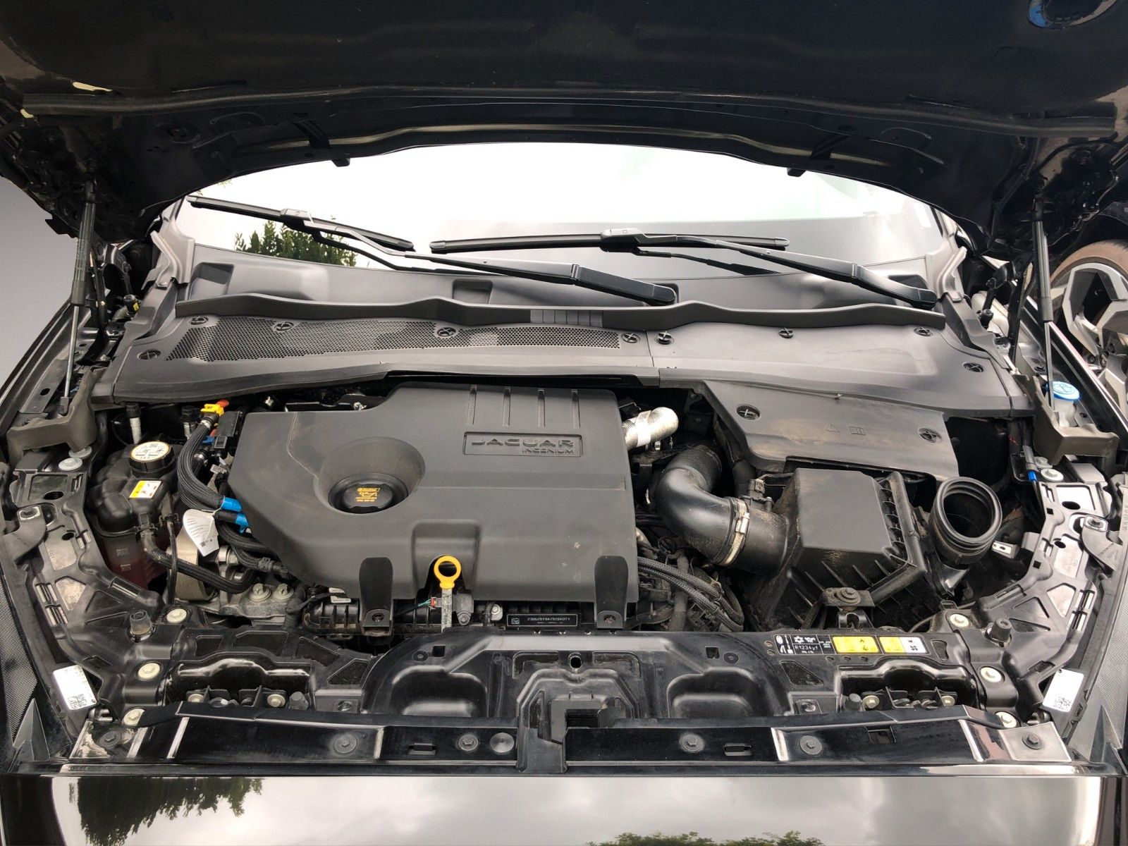 Fahrzeugabbildung Jaguar E-PACE D200 R-Dynamic SE AWD AHK