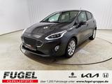 Ford Fiesta 1.0 EcoBoost Titanium X B&O|SHZ|RFK - Ford Fiesta: Titanium X