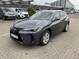 Lexus UX 300h F SPORT Design *Navi*LED*CarPlay*CAM*TWA