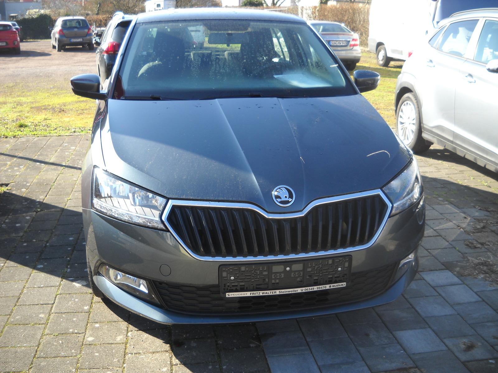 Skoda Fabia Cool Plus 1.0 TSI SHZ PDC Klima