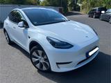 Tesla Model Y Standard Range RWD AHK Matrix-LED - Tesla Gebrauchtwagen in Frankfurt