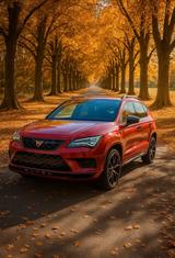 Andere Cupra Ateca 2.0 TSI 300Ps - Andere mit Benzin-Antrieb: Allradantrieb, Geländewagen