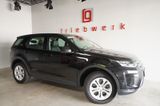 Land Rover Discovery Sport P 200 S AWD*Neues Model*Pano*LED - Gebrauchtwagen