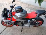 Aprilia Tuono 660 - APRILIA TUONO 660