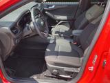 Ford Focus 1.0 EB ST-Line X*Pano*AHK*Bang&Olufsen*ACC - Ford Focus: Rot