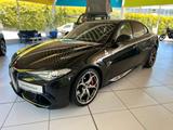 Alfa Romeo Giulia Quadrifoglio 2.9 V6 Bi-Turbo - Alfa Romeo Giulia quadrifoglio mit Benzin-Antrieb