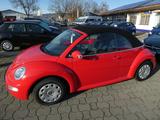 Volkswagen New Beetle Cabriolet 1.4 ORIG.NUR 3´km - Volkswagen New Beetle mit Benzin-Antrieb: Cabrio, 1.4