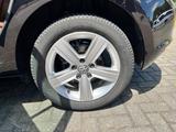 Volkswagen Golf VII  1.6 TDI DSG Highline - Volkswagen Golf mit Diesel-Antrieb: 6.6