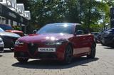 Alfa Romeo Giulia TRIBUTO ITALIANO 280PS Q4/AHK/VOLL - Alfa Romeo Giulia Tributo-Italiano