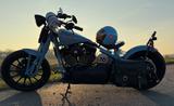 Harley-Davidson Softtail Springer  - HARLEY-DAVIDSON SPRINGER