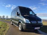 Mercedes-Benz 313CDI Sprinter Klima 1. Hd. alle MB Service&TÜV - Mercedes-Benz Koffer Sprinter 313