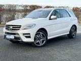 Mercedes-Benz ML 350 CDI BT AMG Line NightVision-ILS-Kamera-E6 - Mercedes-Benz ML 350: Cdi AMG