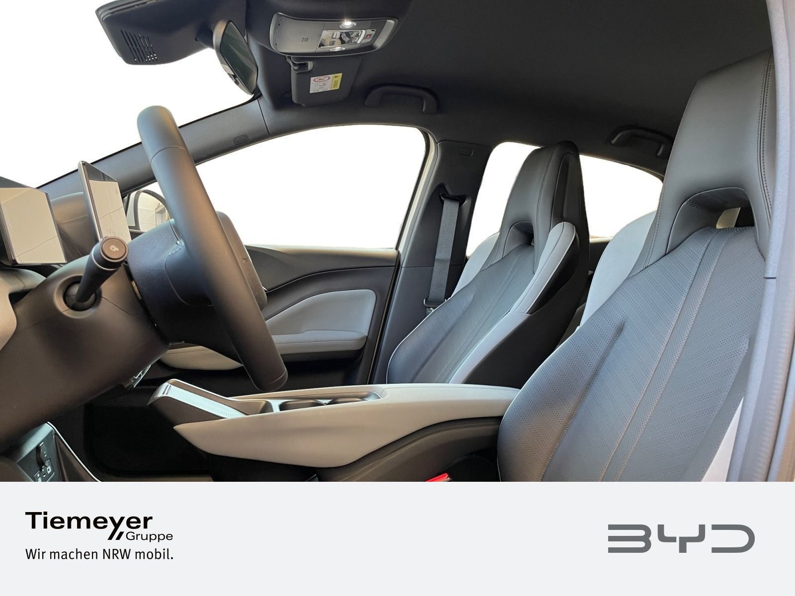 BYD DOLPHIN SURF