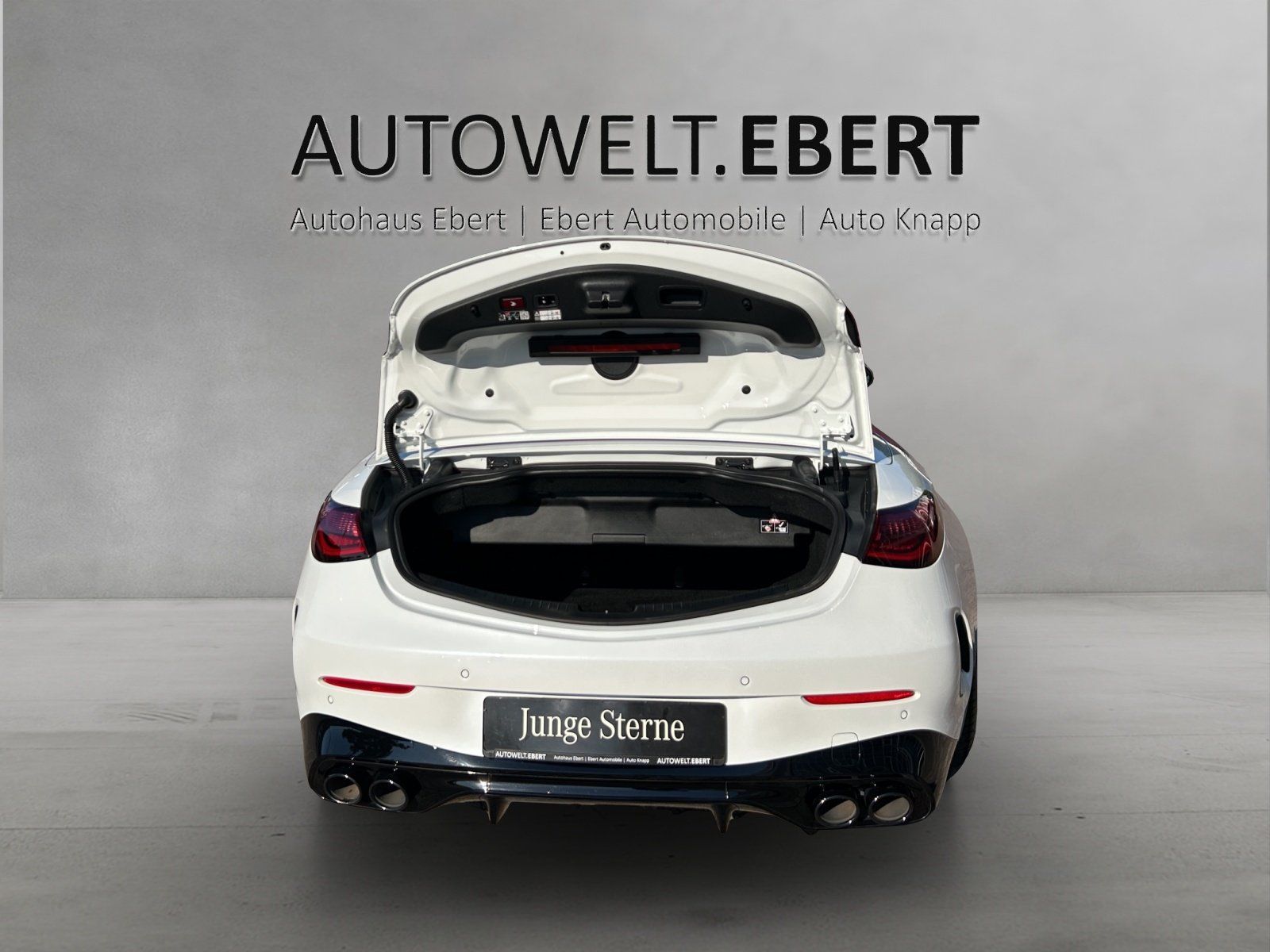 Fahrzeugabbildung Mercedes-Benz CLE 53 AMG DYNAMIC+ Driver's DISTRO Massage AHK