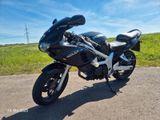 Suzuki SV650S - SUZUKI 2000 SV650