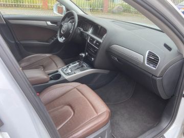 Audi A4 Allroad - 6
