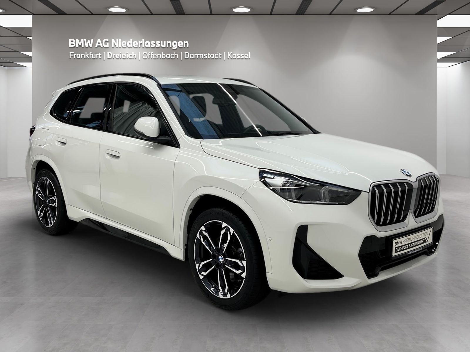 BMW X1 sDrive20i M Sport AHK Driv.Assist Harman K foto 3