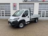 Fiat Ducato 35 140 L2 Pritsche,AHK,Navi - Fiat Fahrgestell Ducato