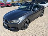 BMW 220d M Sport EURO6 Leder,Navi,Bi-Xenon - BMW 2er Reihe mit Diesel-Antrieb: Cabrio