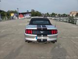 Ford Mustang 2.3 EcoBoost Auto - - Ford: Roadster