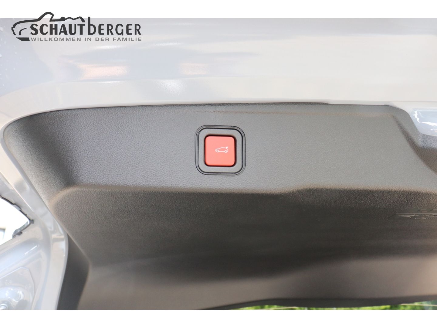 Jeep Avenger - Bild 10