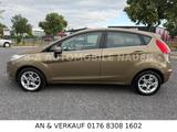 Ford Fiesta 1,6 TDCi 70kW DPF Titanium 5-Türig Klima - Ford Fiesta mit Diesel-Antrieb: 6.1