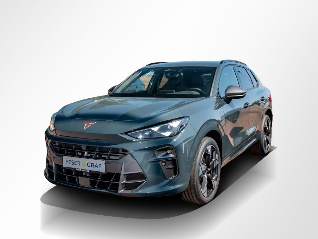 Cupra Terramar - Bild 14