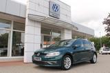 Volkswagen Golf VII Comfortline 1.0 TSI - Volkswagen Golf: Grün