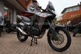 Honda XL 750 ! TRANSALP ! ABS ! LED ! SOFORT VERFÜGBAR - HONDA 750 XL