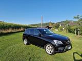 Mercedes-Benz Mercedes ML 350 CDI - Mercedes ml gebraucht