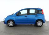 Fiat New Panda Pandina 1.0 mHEV App Connect PDC klima - Fiat New Panda in Hamburg