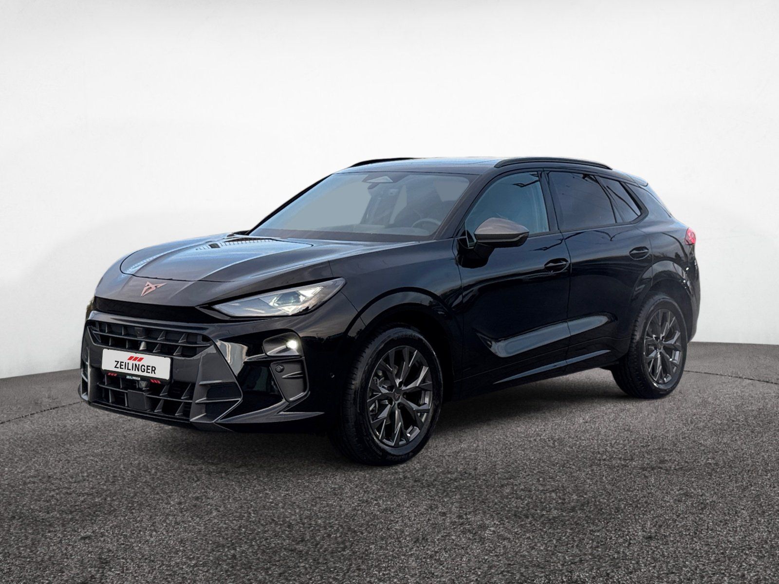 Cupra Terramar - Bild 2