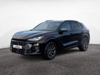 Cupra Terramar - Vorschau Bild 2