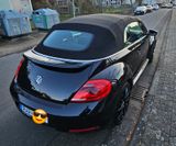Volkswagen Beetle 1.4 TSI DSG Sport Cabriolet Sport - Volkswagen Beetle mit Benzin-Antrieb: Cabrio, 1.4