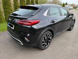 Kia XCeed 1.5 T-GDI DCT Vision Vision - Kia XCeed von privat