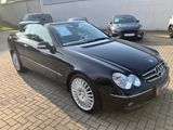 Mercedes-Benz CLK 200 KOMPRESSOR AVANTGARDE AVANTGARDE - Mercedes-Benz: Clk Kompressor