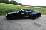 Ford Mustang V6 Cabrio Automatik | 89tkm | KW V2 - Ford Mustang: Cabrio, V6