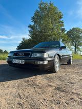 Audi V8 D11 3.6 Quattro - Audi V8: Von Privat